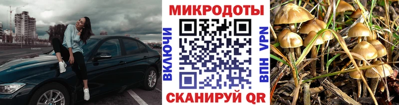 Купить где Радужный Галлюциногенные грибы Magic Shrooms
